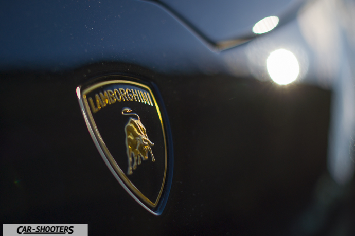 Dettaglio Logo Lamborghini