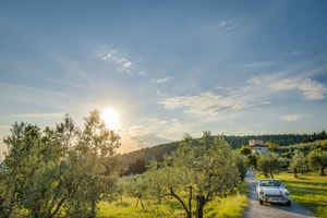 MG B GT SESTO FIORETINO VALIVERSI